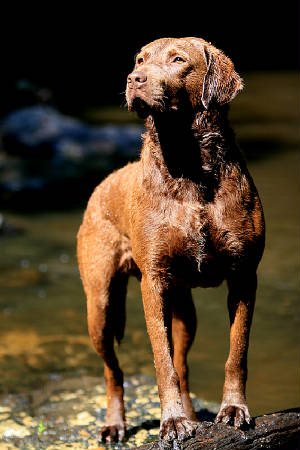 Brier/Picture20428.jpg