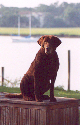 Sydney Sitting On Boat Box At Hilton Head Island April 05