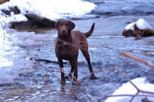 Violet/VStandFrozenRiver.jpg